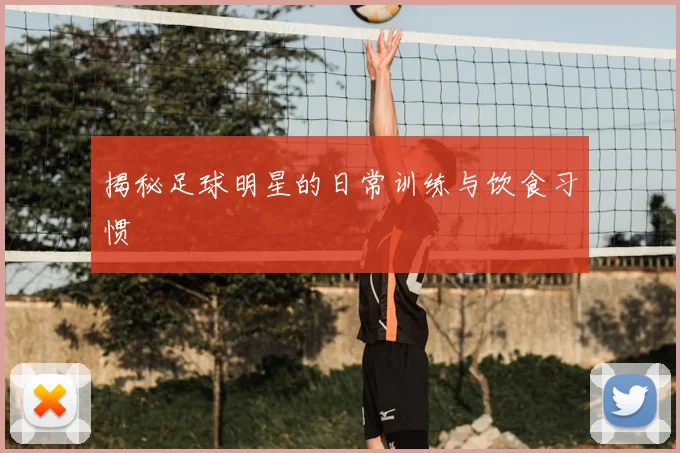 揭秘足球明星的日常训练与饮食习惯
