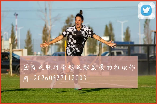 国际足联对全球足球发展的推动作用_20260527112003