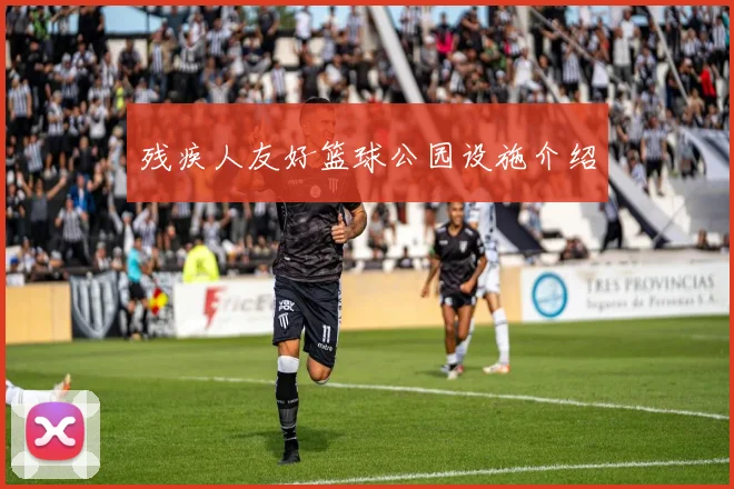 残疾人友好篮球公园设施介绍